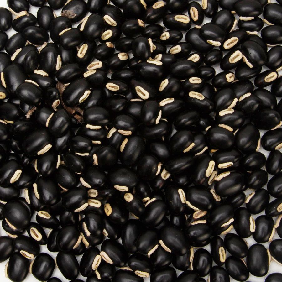 Semente Mucuna Preta