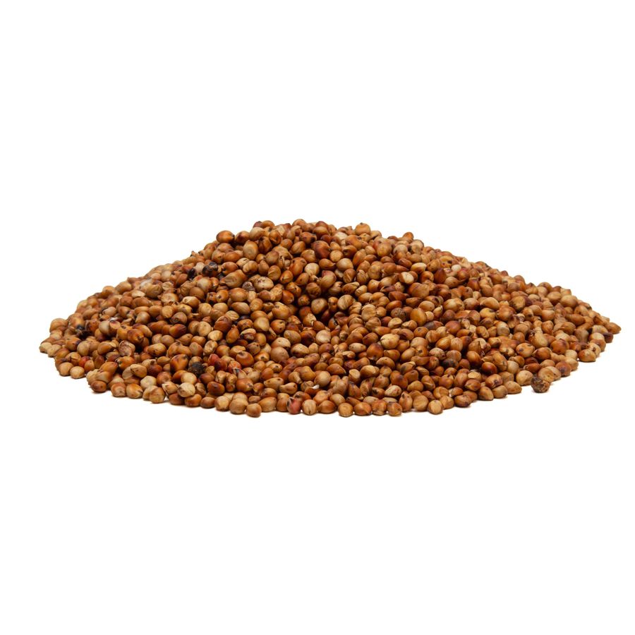  Semente Sorgo BRS ponta negra