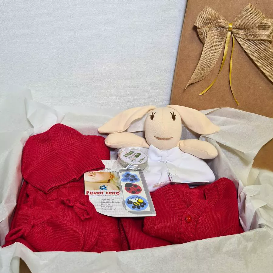 Gift Box Saída Maternidade - Petit Papillon Bebê & Criança