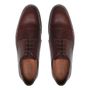 SAPATO DERBY MASCULINO SOCIAL EM COURO MARROM COM CONFORTO
