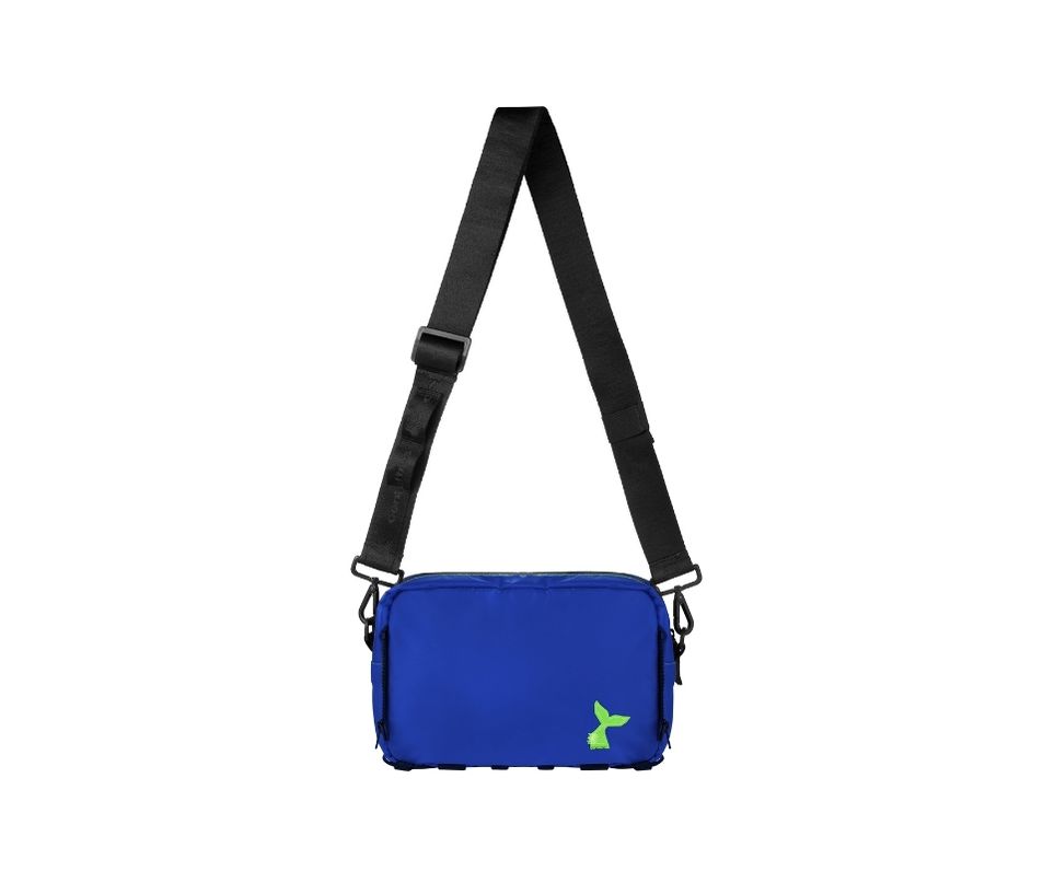 jubarte azul royal e amarelo neon - centelhas + maqui nóbrega