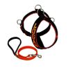 Peitoral Amorosso® Personalizado (preto e laranja) + Guia Curta