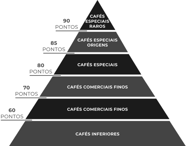 O que é um Café Especial? - Pirâmide de Pontos