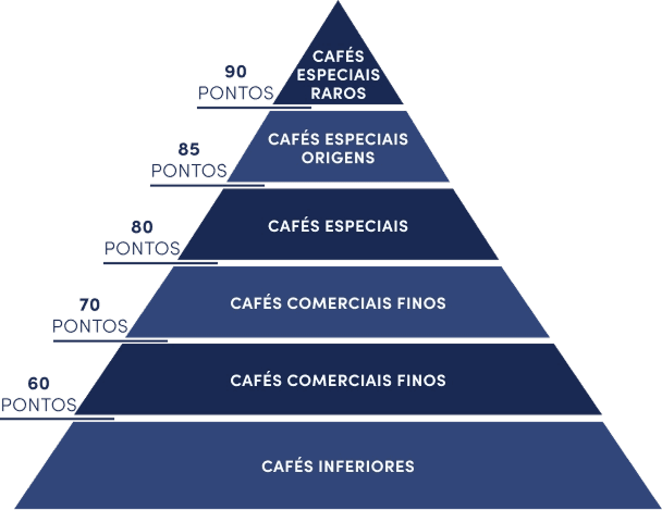 O que é um Café Especial? - Pirâmide de Pontos