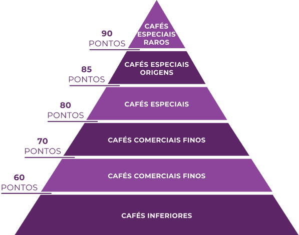 O que é um Café Especial? - Pirâmide de Pontos