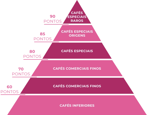 O que é um Café Especial? - Pirâmide de Pontos