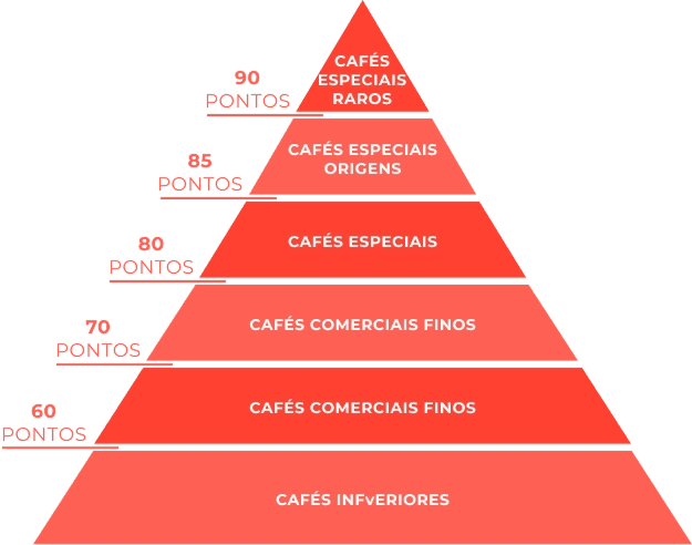 O que é um Café Especial? - Pirâmide de Pontos